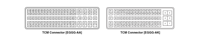 Transaxle Control Module (TCM) Terminal Function